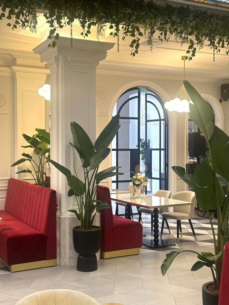 The Art of Dining- Belvedere